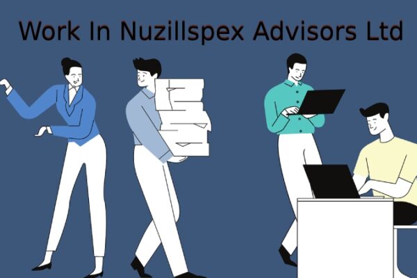 Work at Nuzillspex Advisors Ltd: Culture, Careers & Benefits