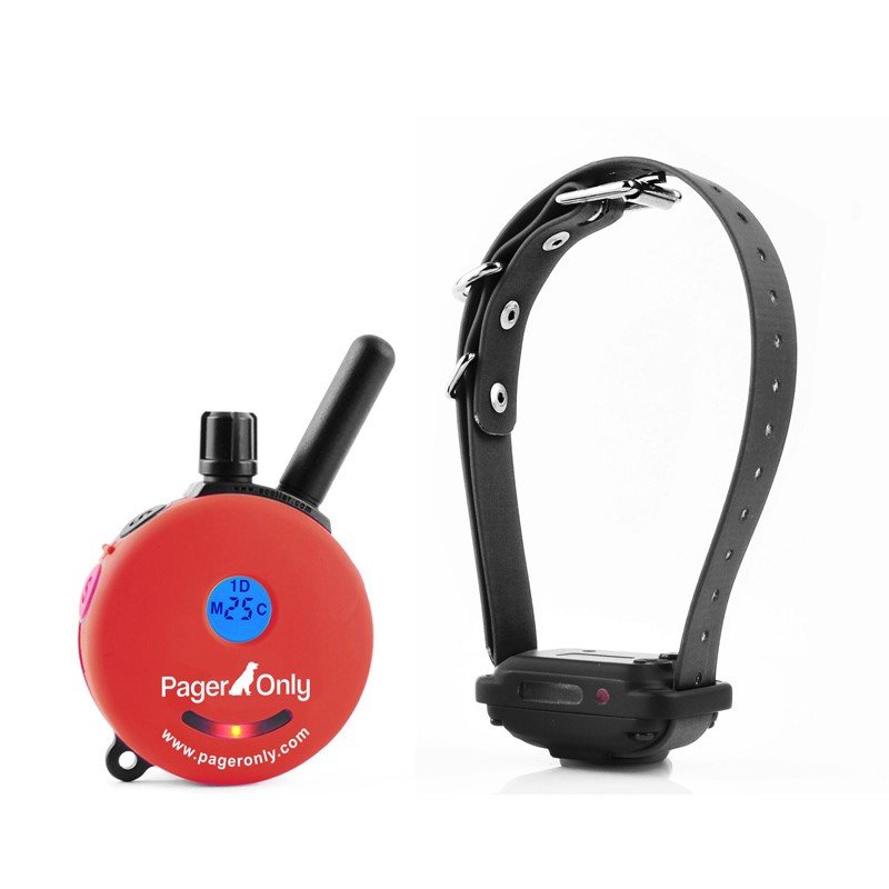 A trainer holding an Educator e-collar remote in an open field.