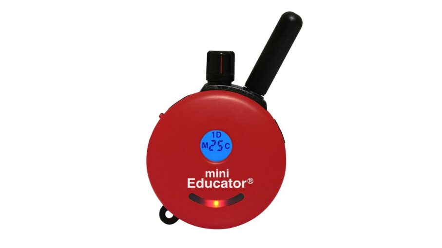 An Educator e-collar remote training device set on a wooden surface.