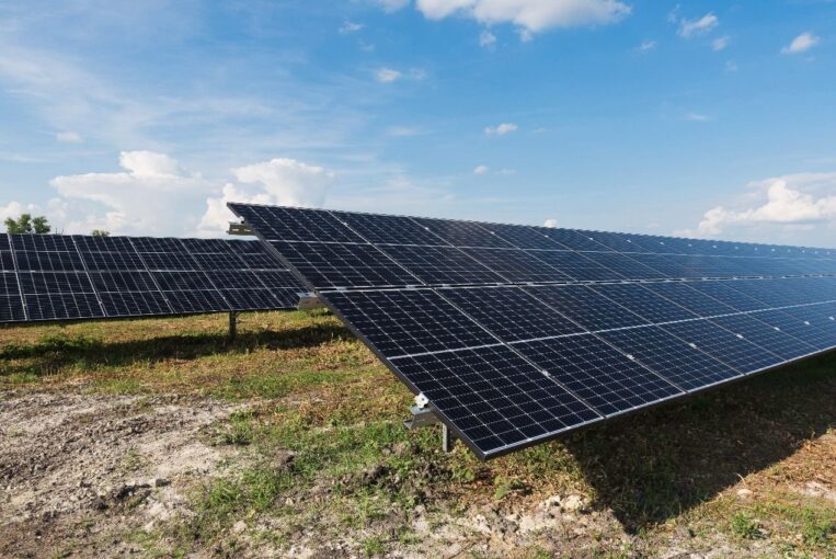 A professional engineer inspects a large-scale solar power project on a sunny day.